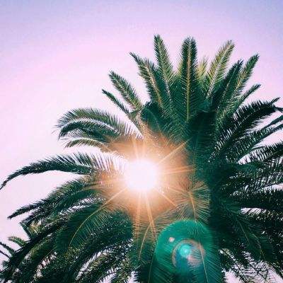 爱游戏appapp下载