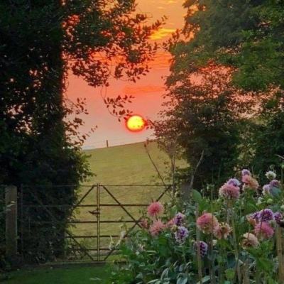 168极速赛车官网计划