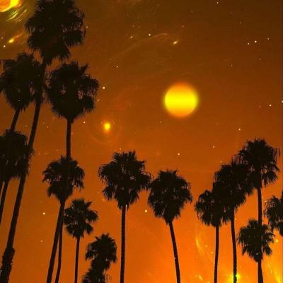 北单足球官网首页截图