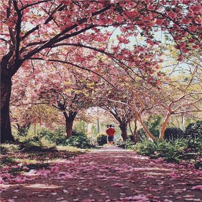 银河国际官网app下载app下载