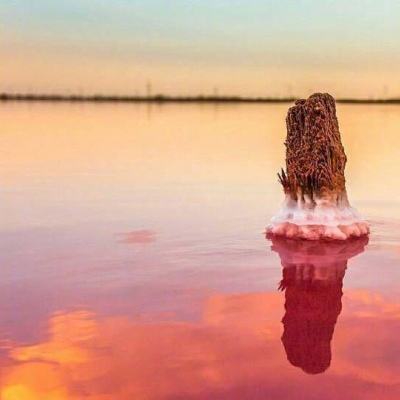 亚博AG娱乐手机app下载