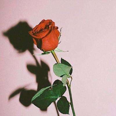 hth华体育(中国)官方入口下载手机版截图