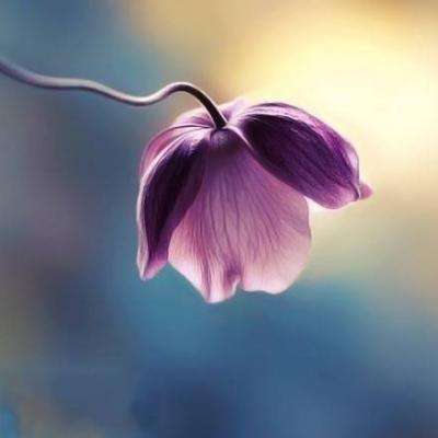 皇冠体育安卓系统