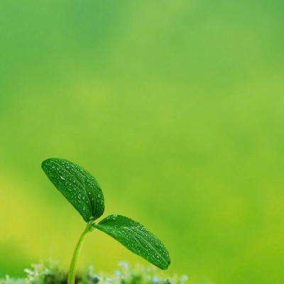 ag入口官网登录