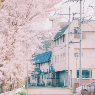 IM体育官方网站