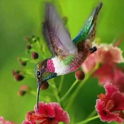 kaiyun·开云app下载