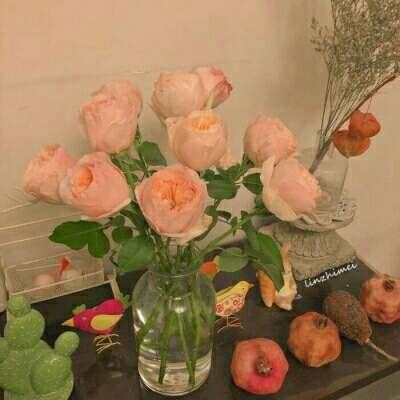 ng体育下载注册