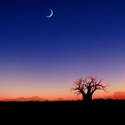 1788网投下载手机版