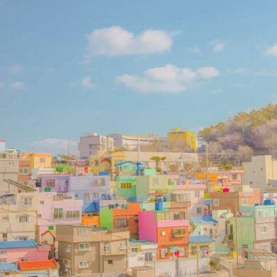 AG九游会app下载