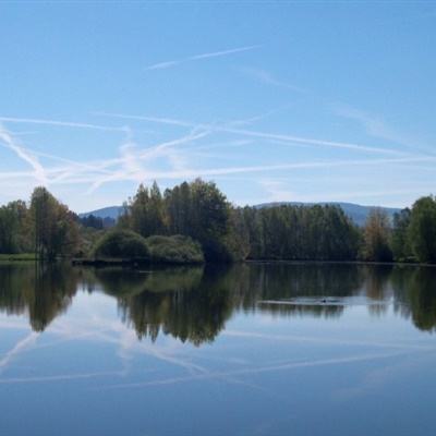 Kaiyun·开云体育app下载