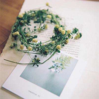 半岛·体育官方登录入口