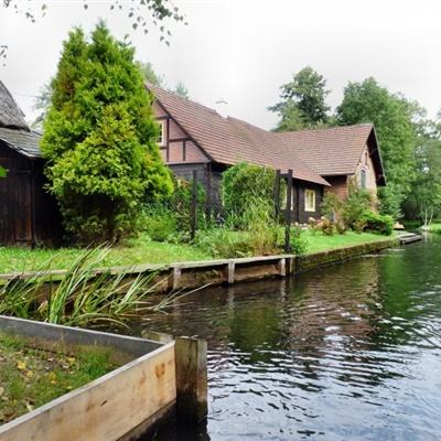 彩神下载手机版