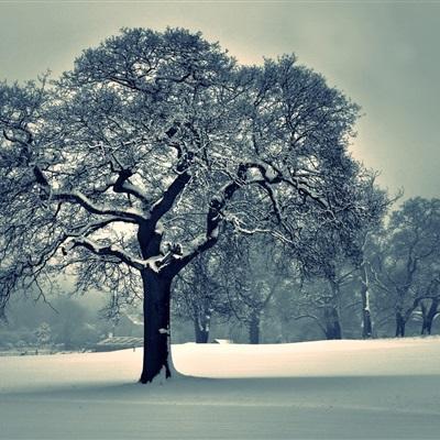 云开平台APP官方全站APP入口app下载