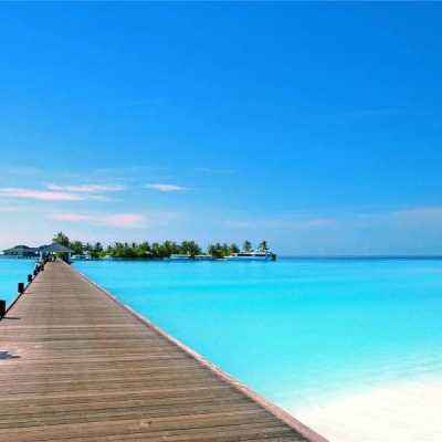 开云体云appapp下载