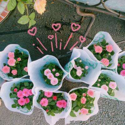 365体育官方唯一入口下载手机版