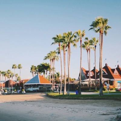 万博体育最新下载链接