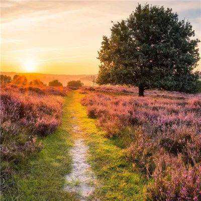 新宝十大登录平台