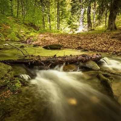 云开官方网站入口