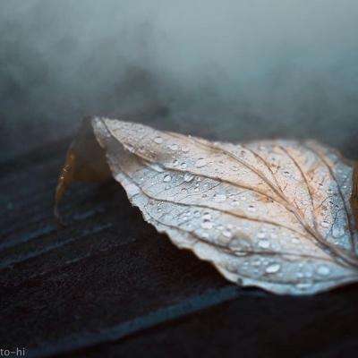 2023澳门资料大全正版