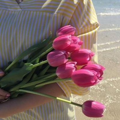 皇冠app下载安装免费下载