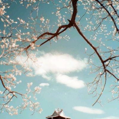 yabo手机版官网登录