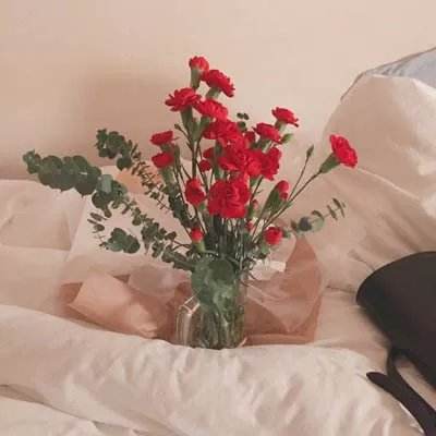 BET9官方APP下载正版app下载