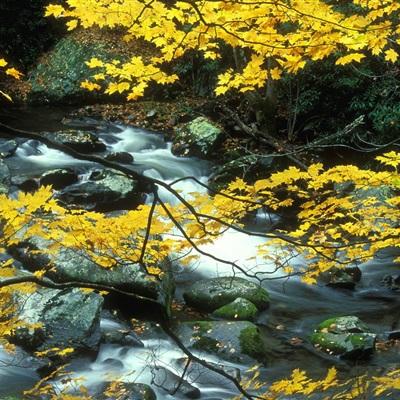 一分三快app下载手机版